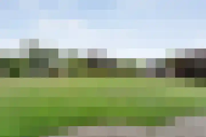 De Hooigraven 5 Dalfsen thumbnail 67