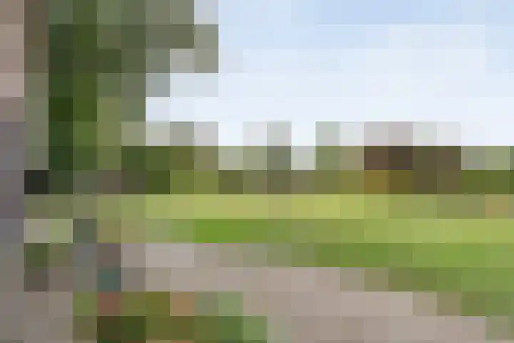 De Hooigraven 5 Dalfsen thumbnail 68