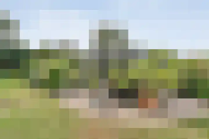 De Hooigraven 5 Dalfsen thumbnail 69