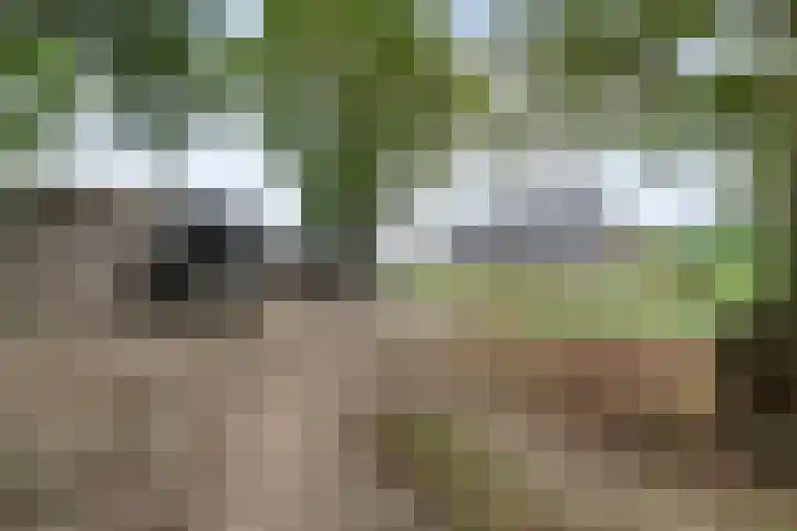De Hooigraven 5 Dalfsen thumbnail 7