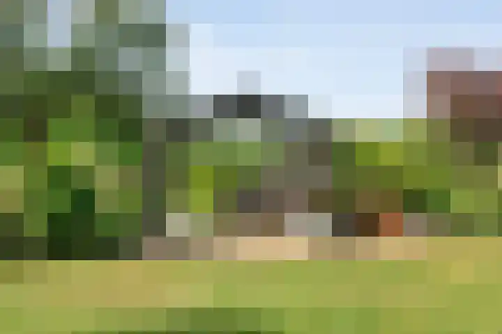 De Hooigraven 5 Dalfsen thumbnail 70