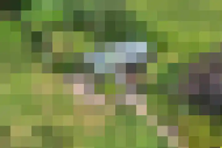 De Hooigraven 5 Dalfsen thumbnail 72