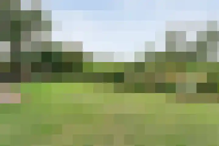De Hooigraven 5 Dalfsen thumbnail 73