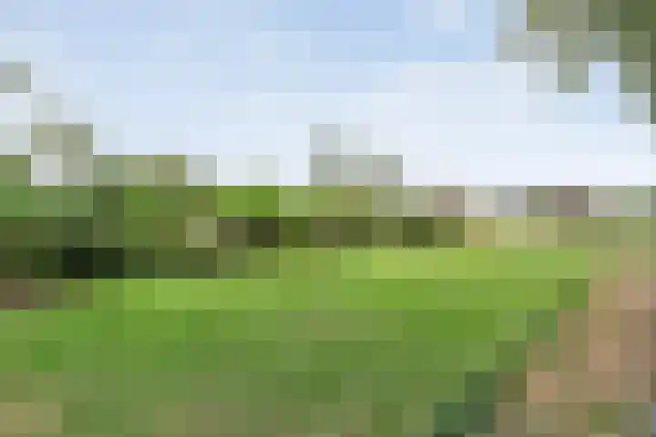De Hooigraven 5 Dalfsen thumbnail 74