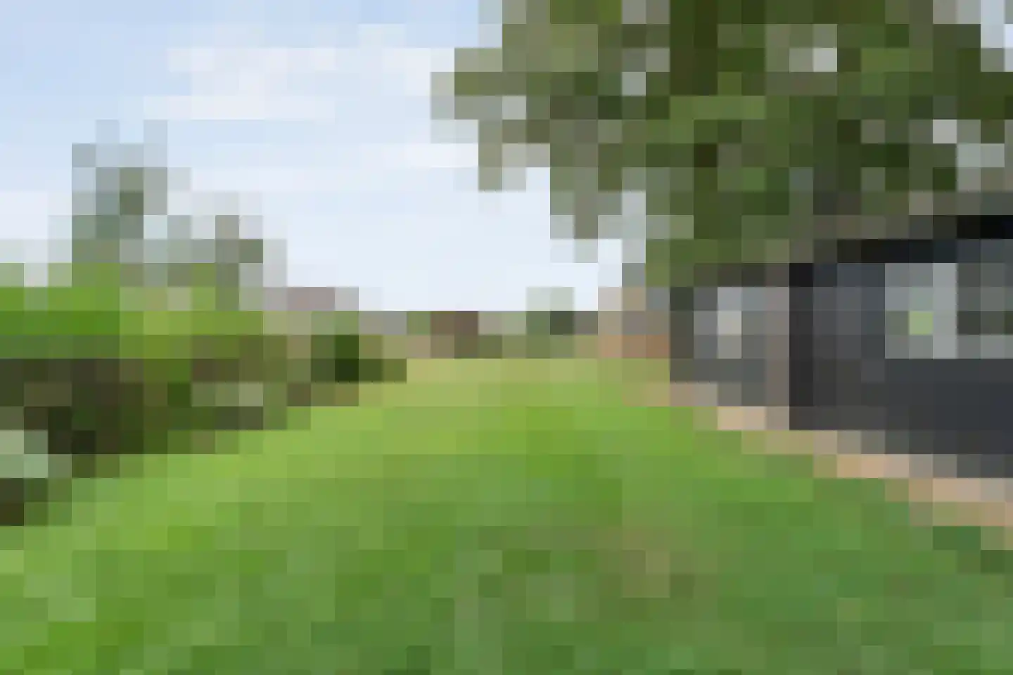De Hooigraven 5 Dalfsen thumbnail 75