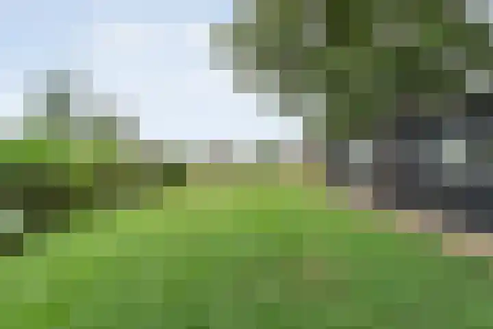 De Hooigraven 5 Dalfsen thumbnail 75