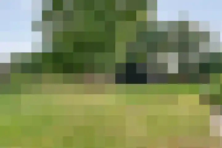 De Hooigraven 5 Dalfsen thumbnail 76