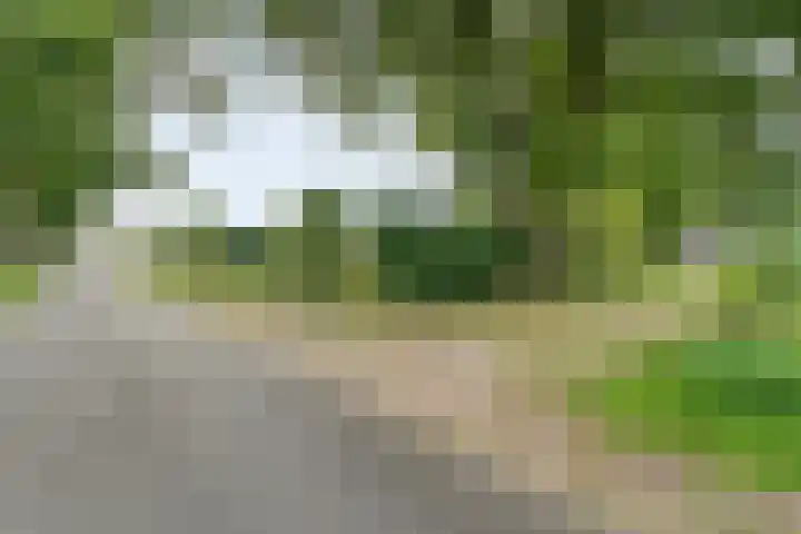 De Hooigraven 5 Dalfsen thumbnail 77
