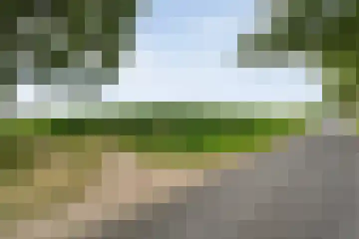 De Hooigraven 5 Dalfsen thumbnail 78