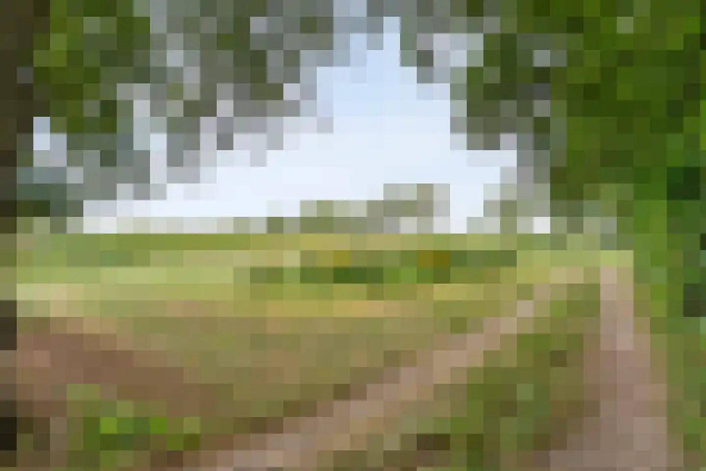 De Hooigraven 5 Dalfsen thumbnail 8