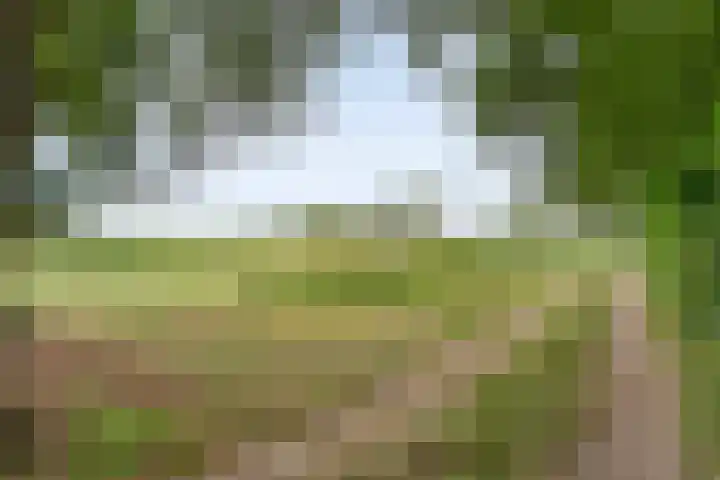 De Hooigraven 5 Dalfsen thumbnail 8