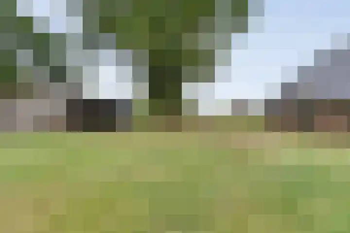 De Hooigraven 5 Dalfsen thumbnail 9