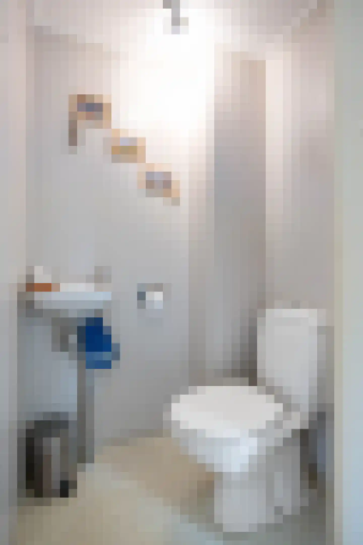 De Hooilanden 8 Sauwerd thumbnail 13