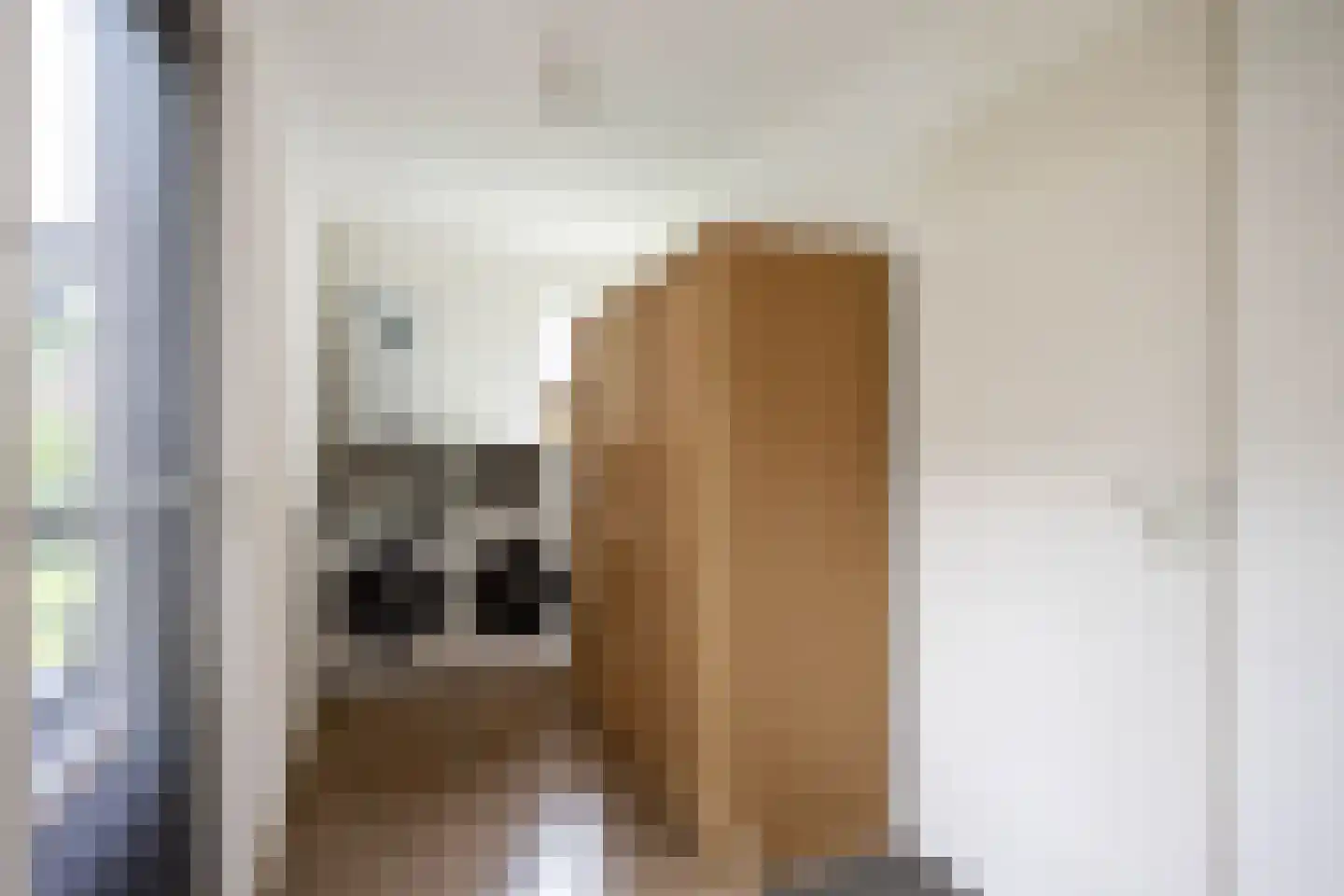 De Hooilanden 8 Sauwerd thumbnail 26