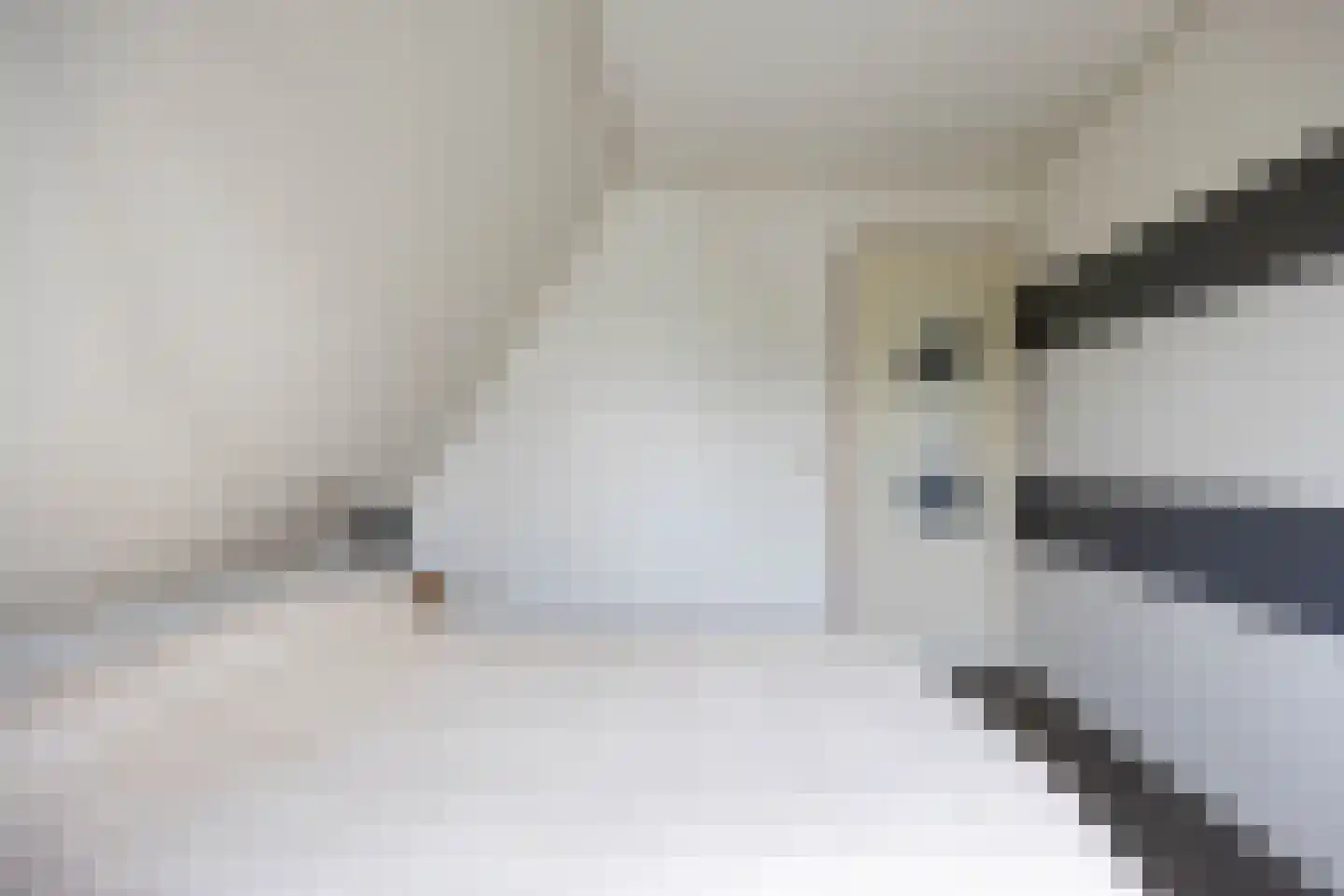 De Hooilanden 8 Sauwerd thumbnail 31
