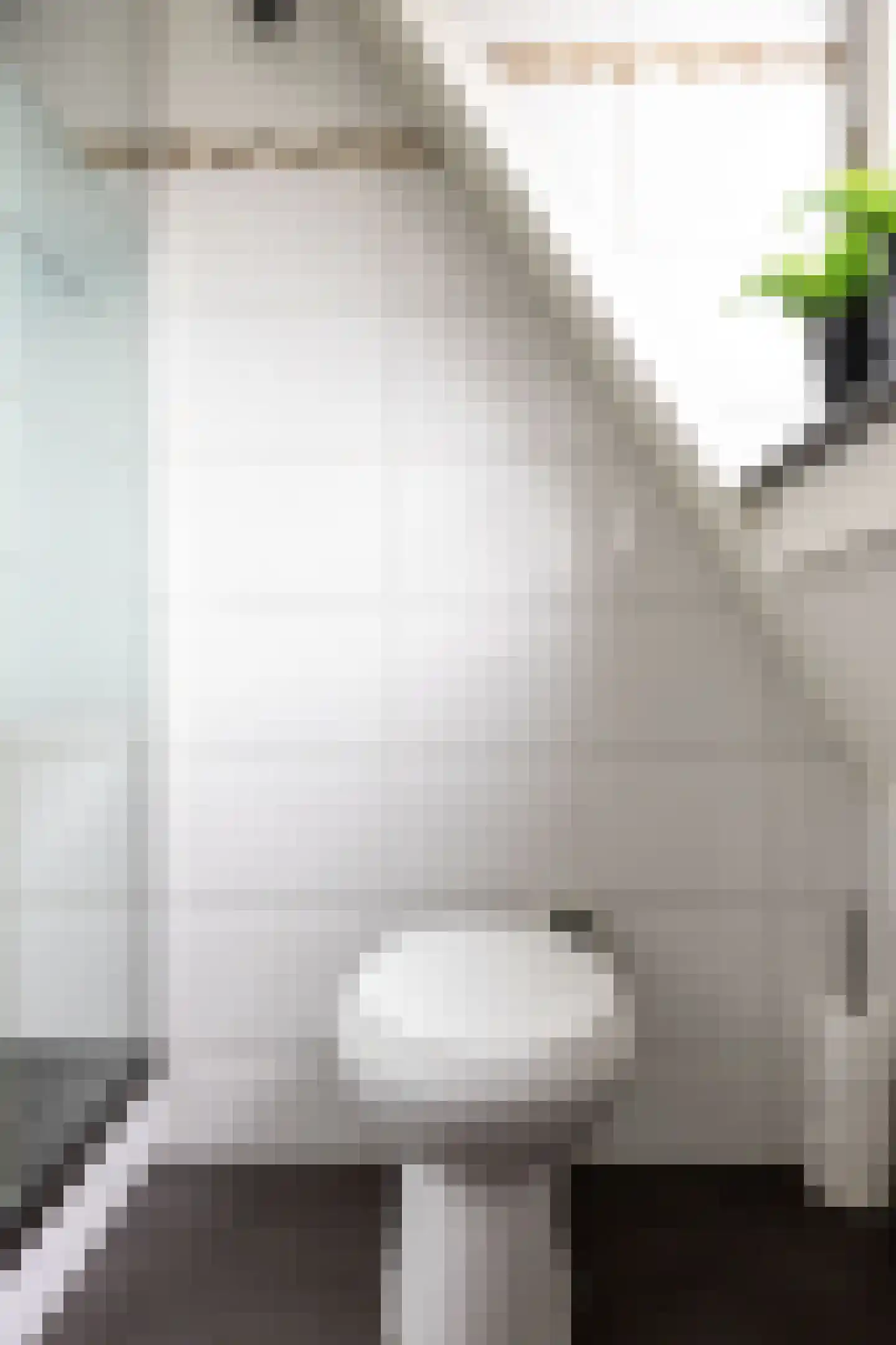 De Hooilanden 8 Sauwerd thumbnail 37
