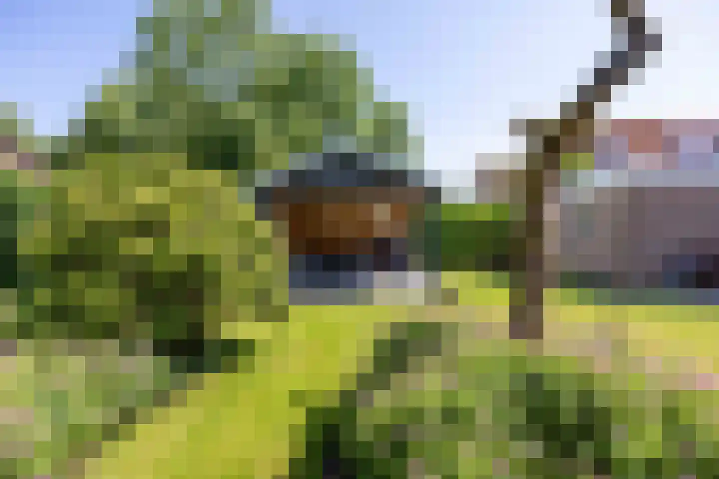 De Hooilanden 8 Sauwerd thumbnail 47