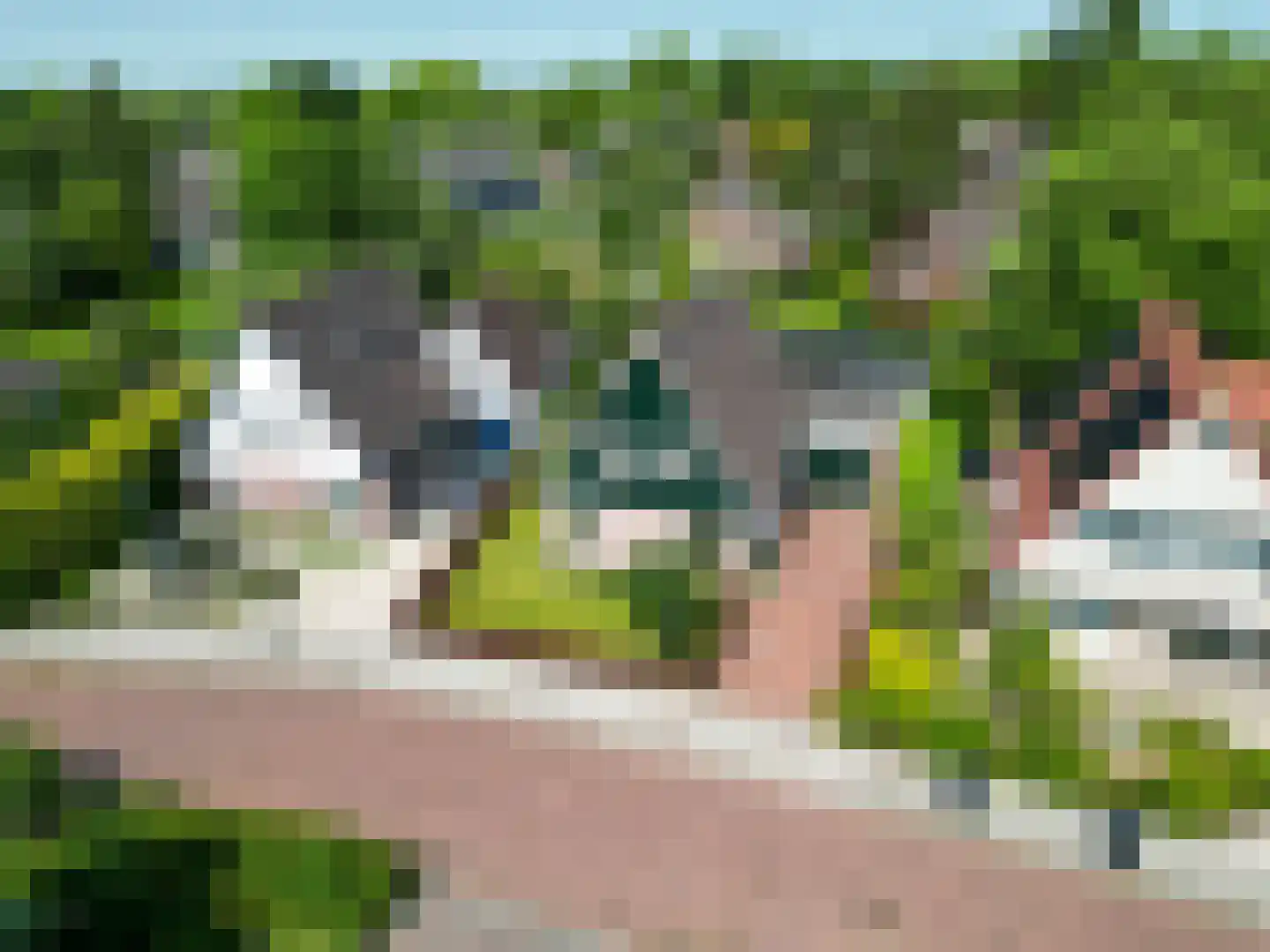 De Hooilanden 8 Sauwerd thumbnail 5