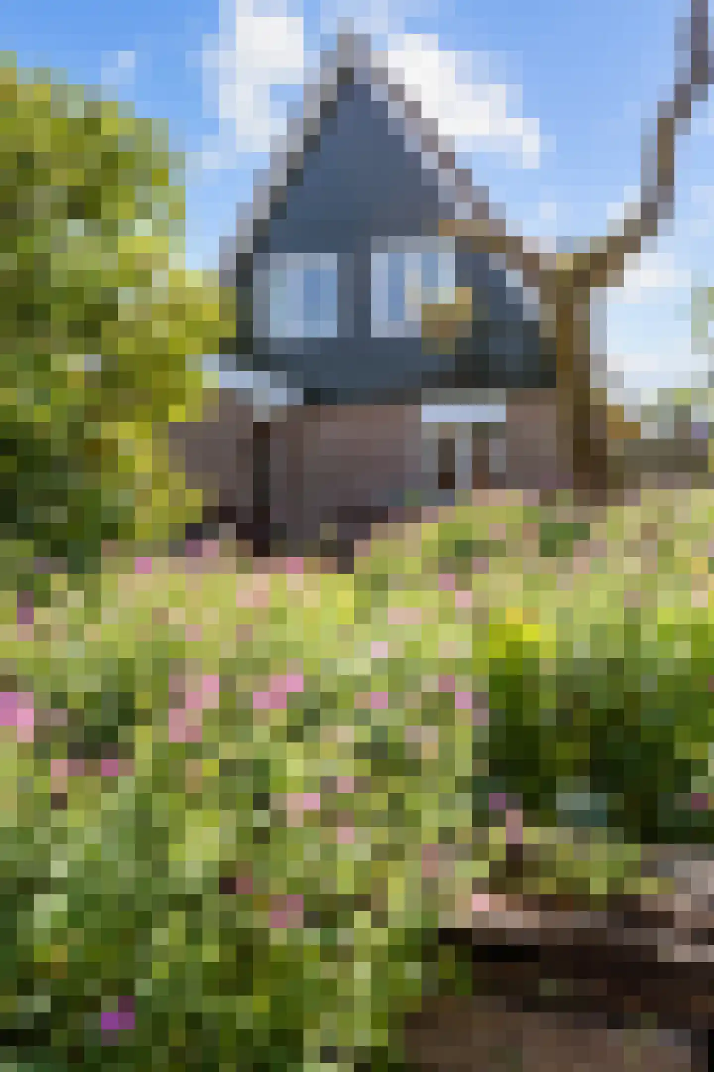De Hooilanden 8 Sauwerd thumbnail 51