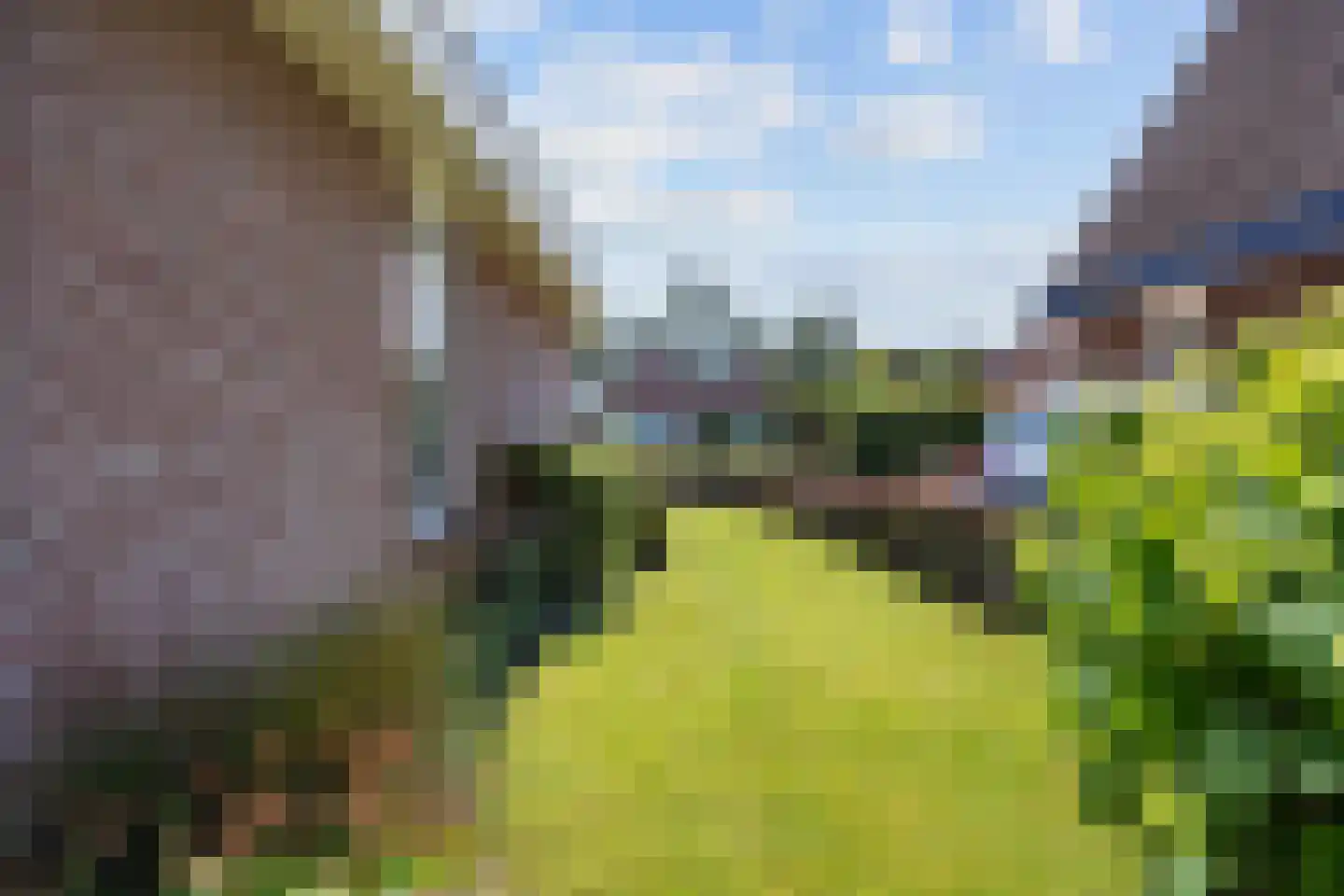 De Hooilanden 8 Sauwerd thumbnail 53