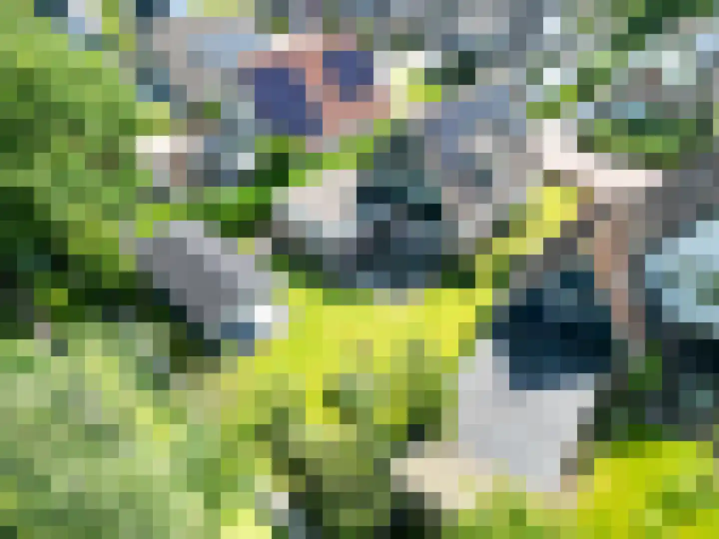 De Hooilanden 8 Sauwerd thumbnail 6