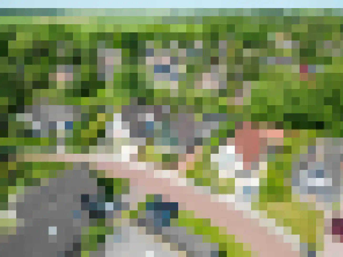 De Hooilanden 8 Sauwerd thumbnail 7
