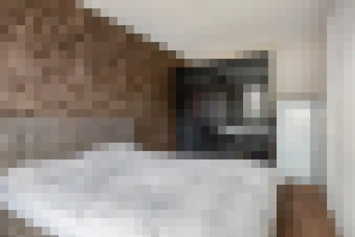 De Hooimijt 15 Made thumbnail 15
