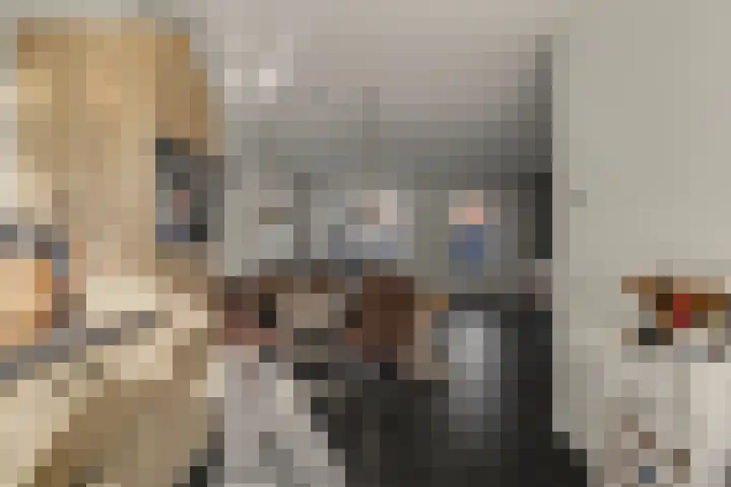 De Hooimijt 19 Made thumbnail 11