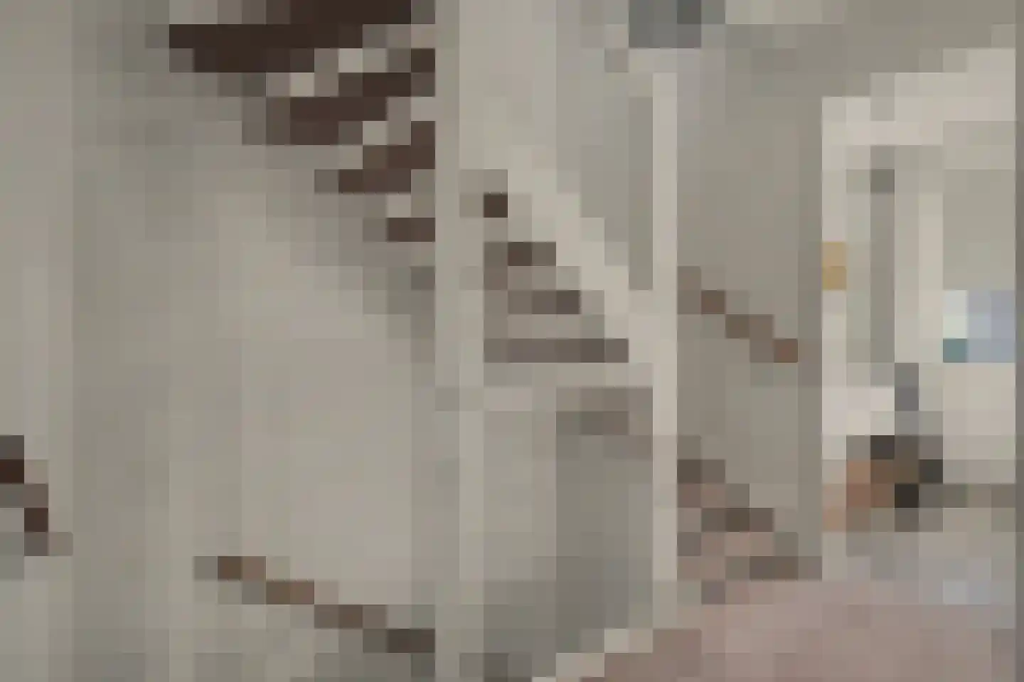 De Hooimijt 19 Made thumbnail 15