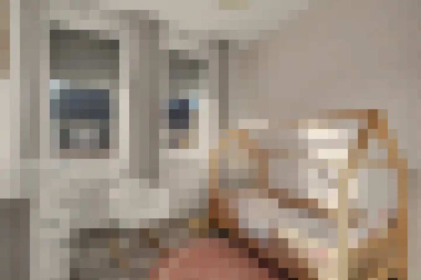 De Hooimijt 19 Made thumbnail 21