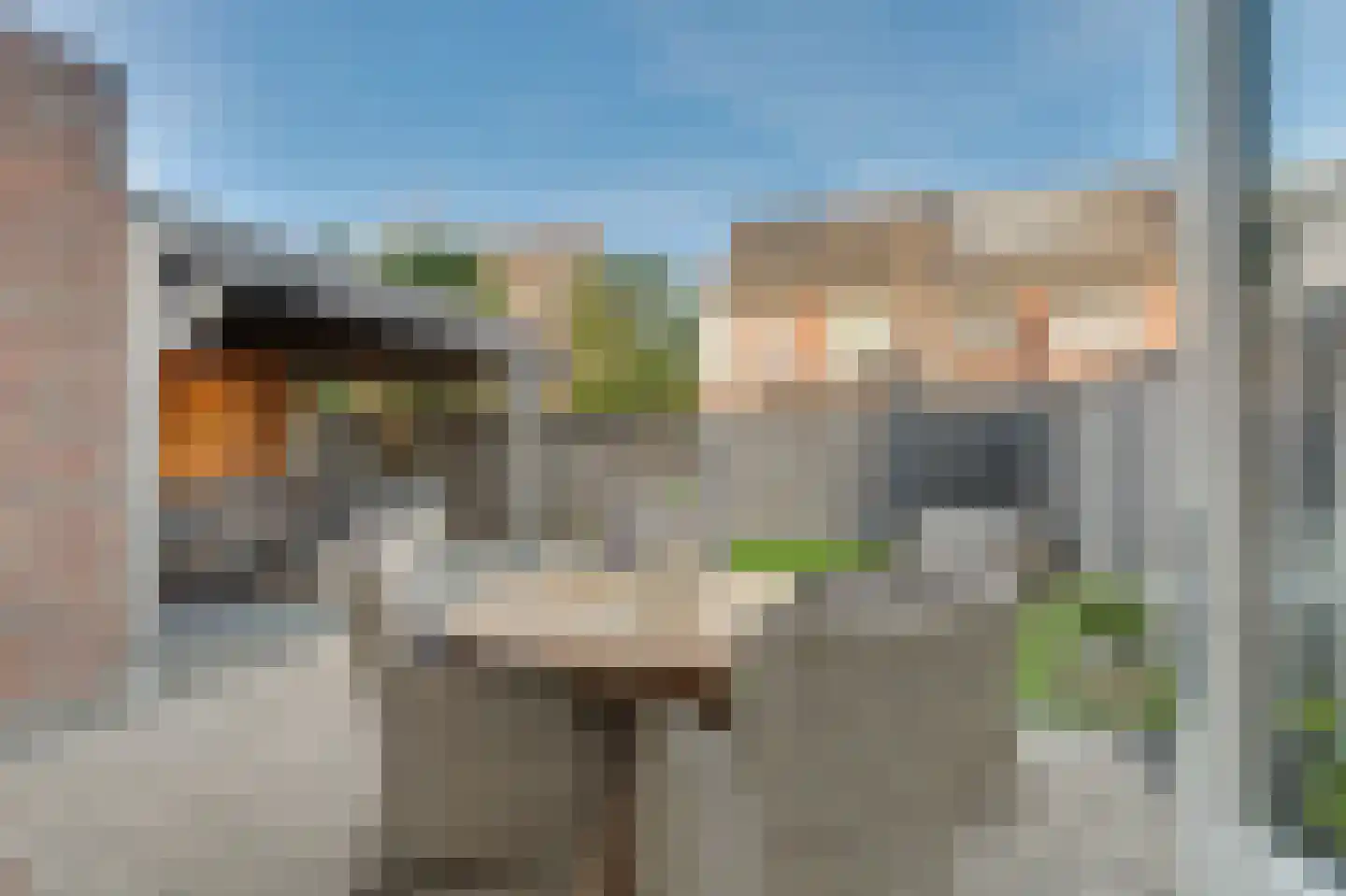 De Hooimijt 19 Made thumbnail 4