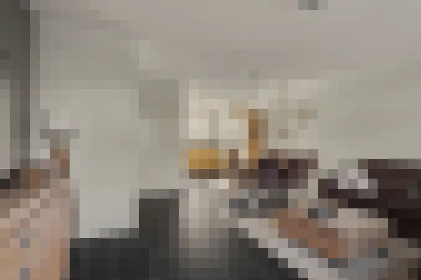 De Hooimijt 19 Made thumbnail 8