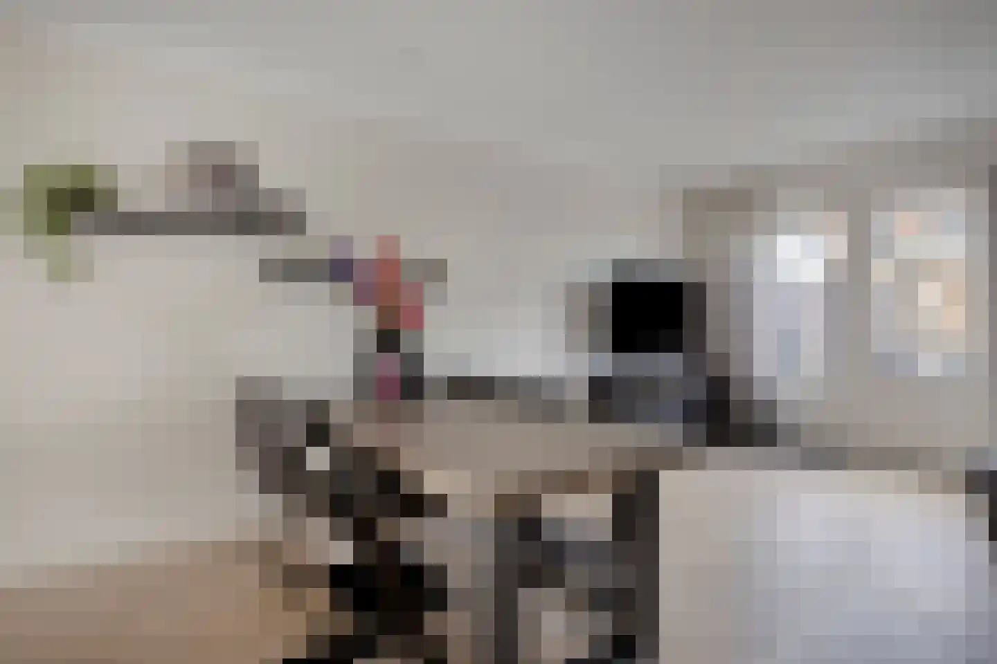De Hooimijt 23 Made thumbnail 11