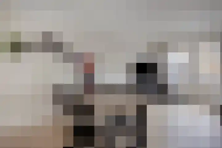 De Hooimijt 23 Made thumbnail 11
