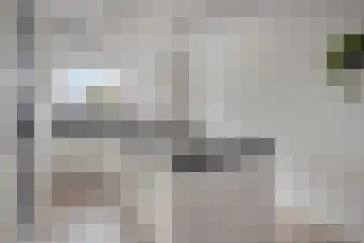 De Hooimijt 23 Made thumbnail 12