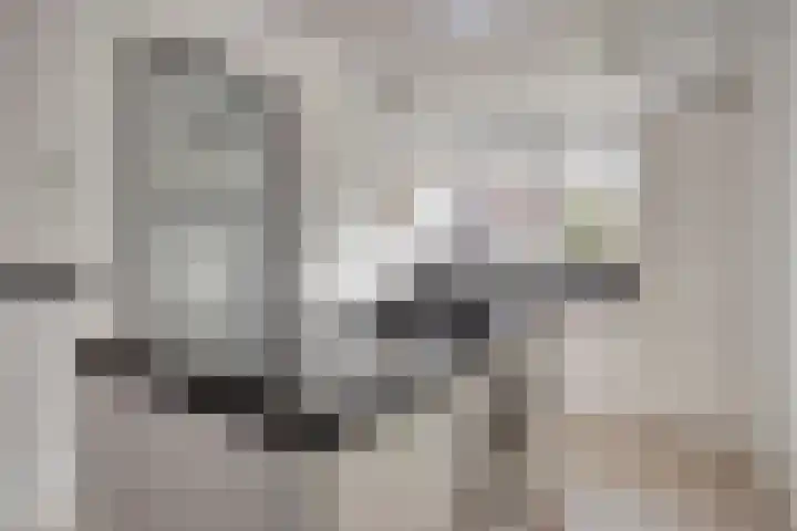 De Hooimijt 23 Made thumbnail 13