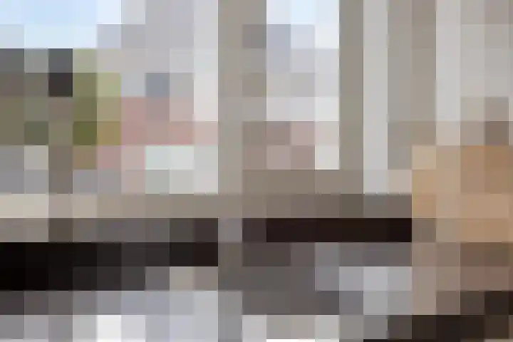 De Hooimijt 23 Made thumbnail 14