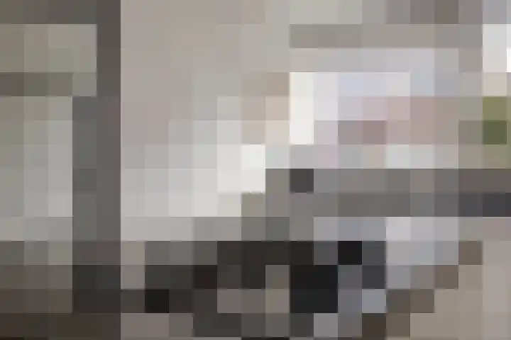 De Hooimijt 23 Made thumbnail 15