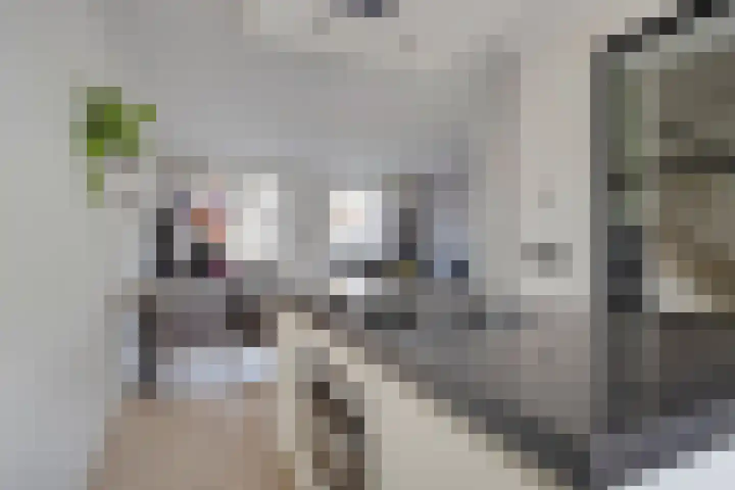 De Hooimijt 23 Made thumbnail 16