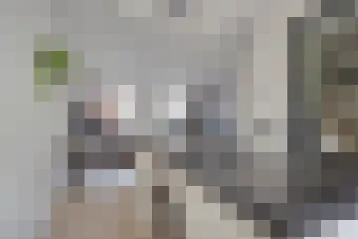 De Hooimijt 23 Made thumbnail 16