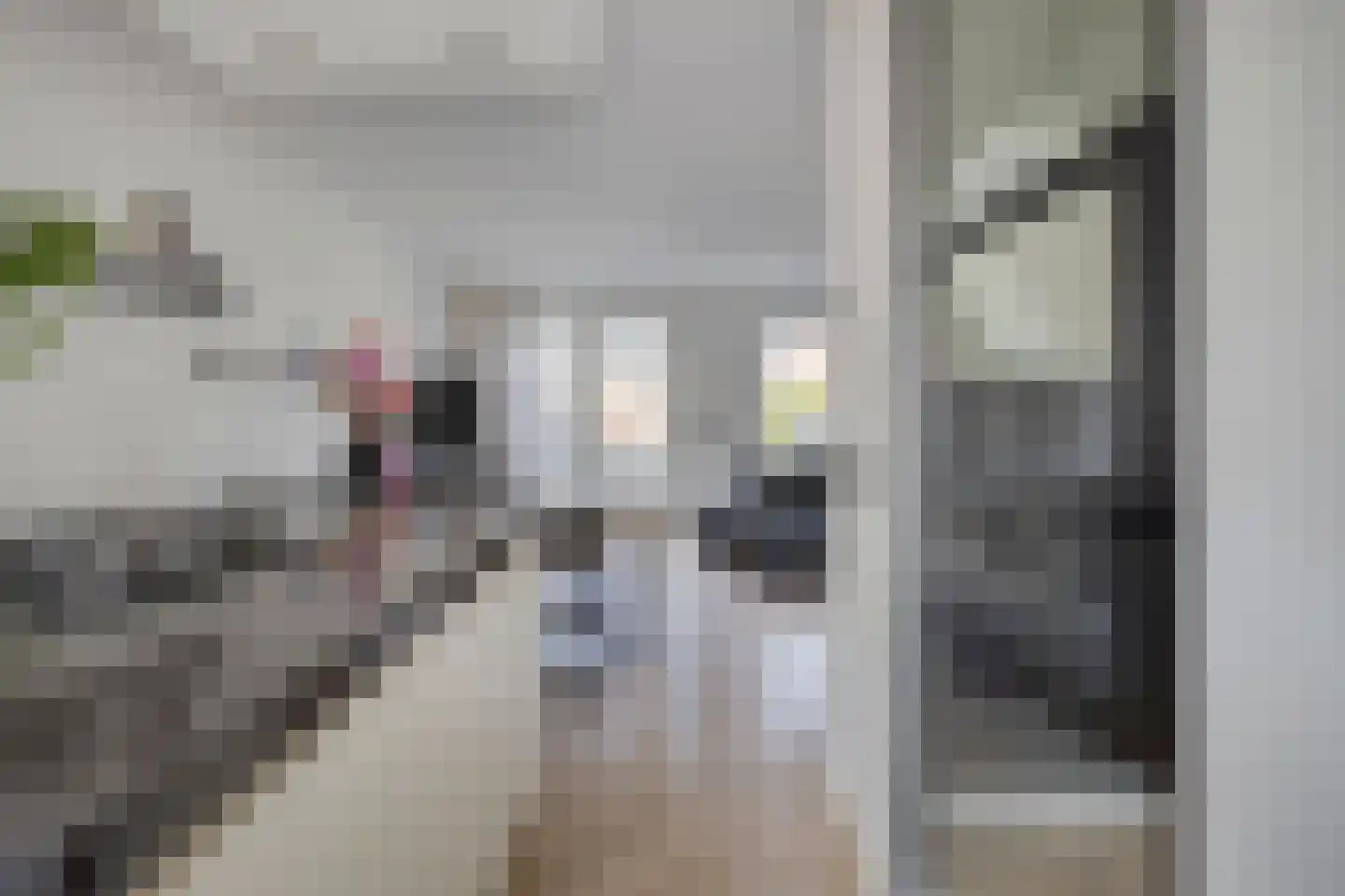 De Hooimijt 23 Made thumbnail 17