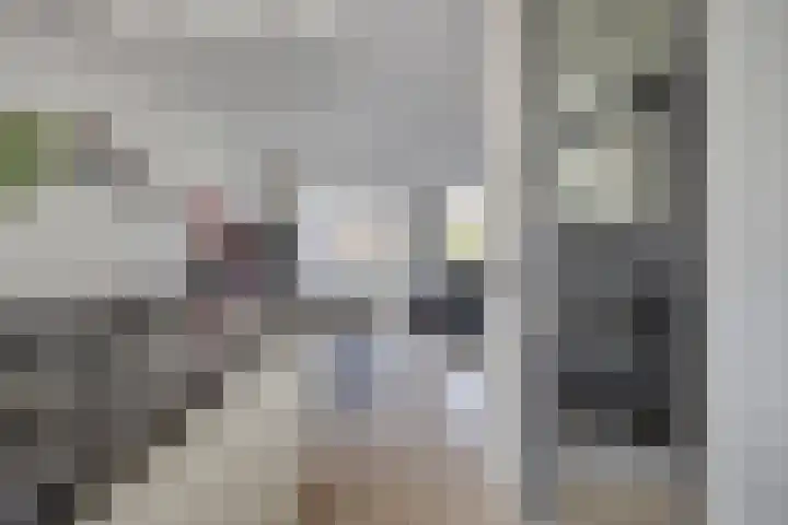 De Hooimijt 23 Made thumbnail 17