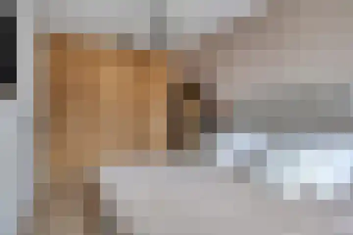 De Hooimijt 23 Made thumbnail 22