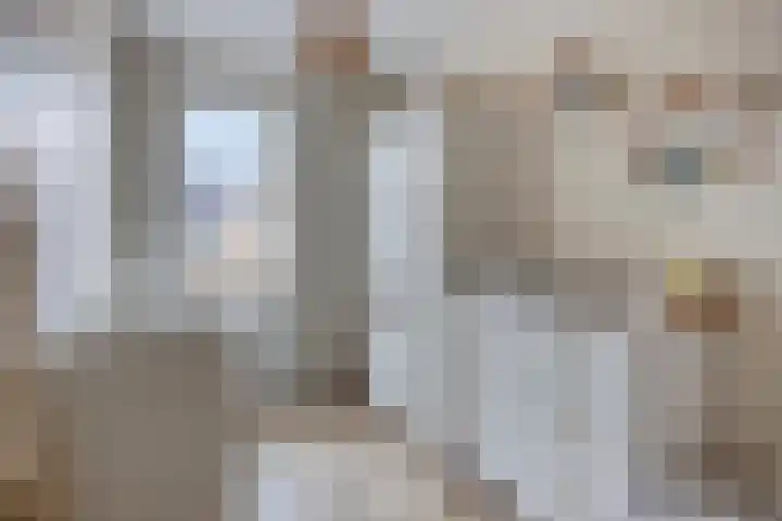 De Hooimijt 23 Made thumbnail 23
