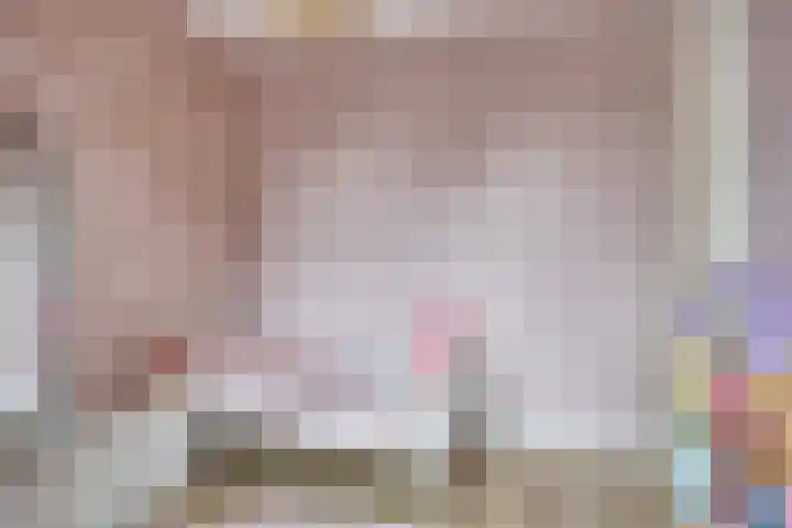 De Hooimijt 23 Made thumbnail 26