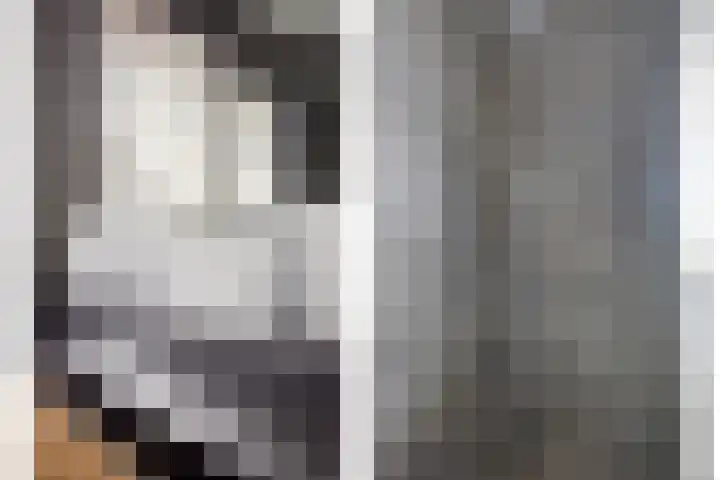 De Hooimijt 23 Made thumbnail 28