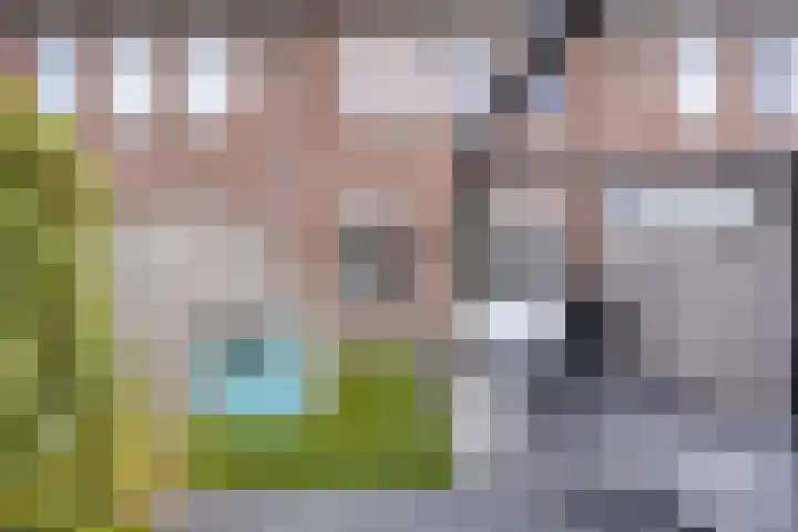 De Hooimijt 23 Made thumbnail 37