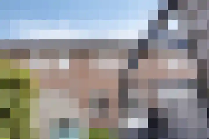 De Hooimijt 23 Made thumbnail 38
