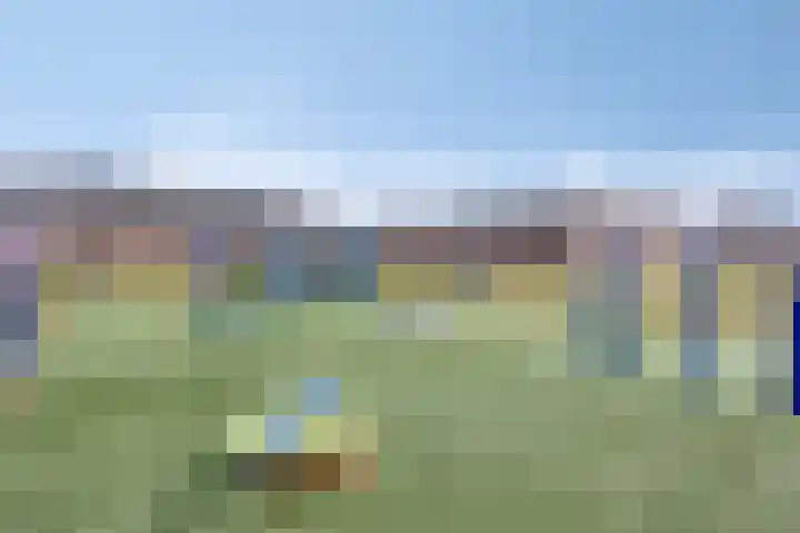 De Hooimijt 23 Made thumbnail 41