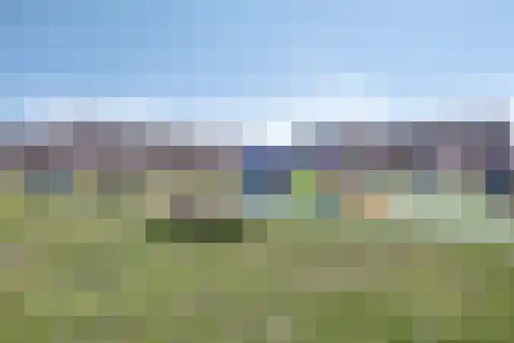 De Hooimijt 23 Made thumbnail 42